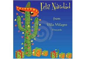 Cactus wearing a sombrero and string lights surrounded by packages against a dark blue background